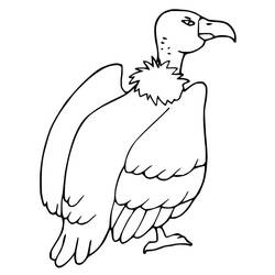 Dessin à colorier: Vautour (Animaux) #205321 - Coloriages à Imprimer Gratuits