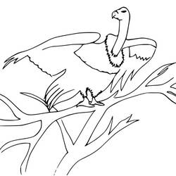Dessin à colorier: Vautour (Animaux) #205326 - Coloriages à Imprimer Gratuits