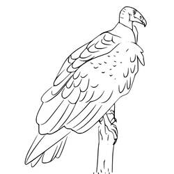Dessin à colorier: Vautour (Animaux) #205332 - Coloriages à Imprimer Gratuits