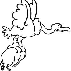 Dessin à colorier: Vautour (Animaux) #205335 - Coloriages à Imprimer Gratuits