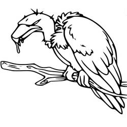 Dessin à colorier: Vautour (Animaux) #205338 - Coloriages à Imprimer Gratuits
