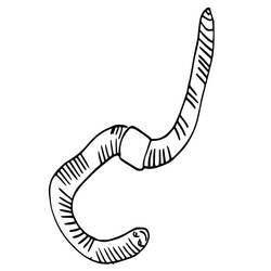 Dessin à colorier: Ver de terre (Animaux) #214589 - Coloriages à Imprimer Gratuits