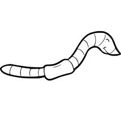 Dessin à colorier: Ver de terre (Animaux) #214590 - Coloriages à Imprimer Gratuits
