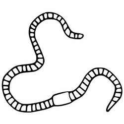 Dessin à colorier: Ver de terre (Animaux) #214593 - Coloriages à Imprimer Gratuits