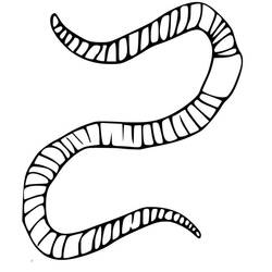 Dessin à colorier: Ver de terre (Animaux) #214595 - Coloriages à Imprimer Gratuits