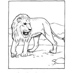 Dessin à colorier: Zoo (Animaux) #12656 - Coloriages à Imprimer Gratuits
