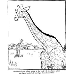 Dessin à colorier: Zoo (Animaux) #12741 - Coloriages à Imprimer Gratuits