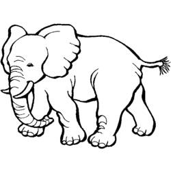 Dessin à colorier: Zoo (Animaux) #12787 - Coloriages à Imprimer Gratuits