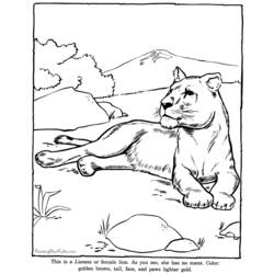 Dessin à colorier: Zoo (Animaux) #12795 - Coloriages à Imprimer Gratuits