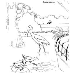 Dessin à colorier: Zoo (Animaux) #12833 - Coloriages à Imprimer Gratuits