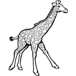 Dessin à colorier: Zoo (Animaux) #12841 - Coloriages à Imprimer Gratuits