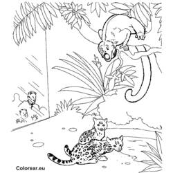 Dessin à colorier: Zoo (Animaux) #12916 - Coloriages à Imprimer Gratuits