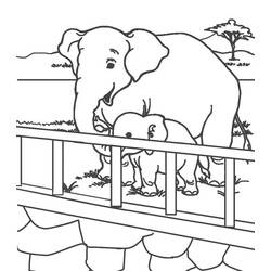 Coloriage Zoo (Animaux) #201731 à imprimer et colorier