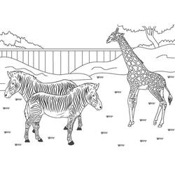 Coloriage Zoo (Animaux) #201740 à imprimer et colorier