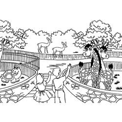 Coloriage Zoo (Animaux) #201741 à imprimer et colorier