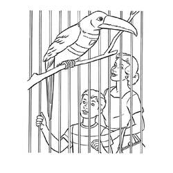 Coloriage Zoo (Animaux) #201745 à imprimer et colorier