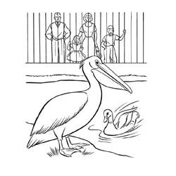 Coloriage Zoo (Animaux) #201754 à imprimer et colorier