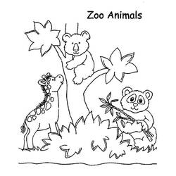 Coloriage Zoo (Animaux) #201757 à imprimer et colorier