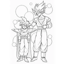 Coloriage Dragon Ball Z (Animé et Manga) #38792 à imprimer et colorier