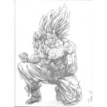 Dessin à colorier: Dragon Ball Z (Animé et Manga) #38860 - Coloriages à Imprimer Gratuits