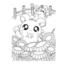 Coloriage Hamtaro (Animé et Manga) #40077 à imprimer et colorier