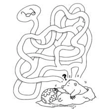Dessin à colorier: Labyrinthes (Apprentissage et Éducation) #126428 - Coloriages à Imprimer Gratuits