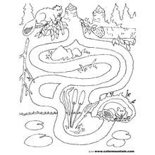 Dessin à colorier: Labyrinthes (Apprentissage et Éducation) #126463 - Coloriages à Imprimer Gratuits
