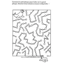 Coloriage Labyrinthes (Apprentissage et Éducation) #126603 à imprimer et colorier