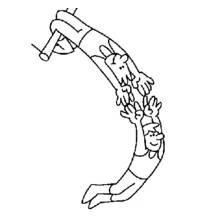 Dessin à colorier: Acrobate (Carrières et Professions) #87301 - Coloriages à Imprimer Gratuits