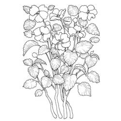 Dessins à colorier: Fleur Adulte - Coloriages à Imprimer Gratuits