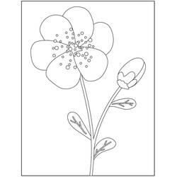Dessin à colorier: Fleurs Coloriage par Numéro (Coloriage numéroté) #177986 - Coloriages à Imprimer Gratuits