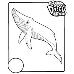 Dessin à colorier: Go Diego! (Dessins animés et séries animées) #48534 - Coloriages à Imprimer Gratuits