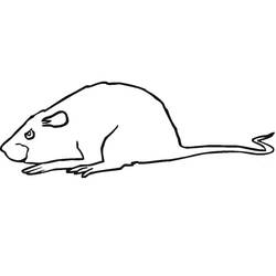 Dessin à colorier: Les Dalton (Dessins animés et séries animées) #209947 - Coloriages à Imprimer Gratuits
