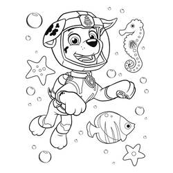 Dessin à colorier: Pat'Patrouille (Dessins animés et séries animées) #178155 - Coloriages à Imprimer Gratuits