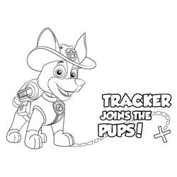 Dessin à colorier: Pat'Patrouille (Dessins animés et séries animées) #178197 - Coloriages à Imprimer Gratuits
