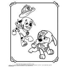 Dessin à colorier: Pat'Patrouille (Dessins animés et séries animées) #44245 - Coloriages à Imprimer Gratuits