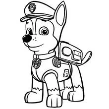 Dessin à colorier: Pat'Patrouille (Dessins animés et séries animées) #44310 - Coloriages à Imprimer Gratuits