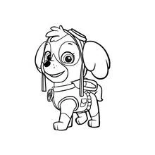 Dessin à colorier: Pat'Patrouille (Dessins animés et séries animées) #44324 - Coloriages à Imprimer Gratuits