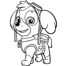 Dessin à colorier: Pat'Patrouille (Dessins animés et séries animées) #44352 - Coloriages à Imprimer Gratuits