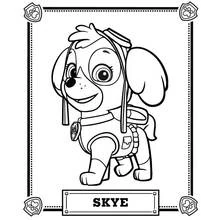 Dessin à colorier: Pat'Patrouille (Dessins animés et séries animées) #44375 - Coloriages à Imprimer Gratuits