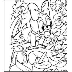 Dessin à colorier: Donald Duck (Dessins Animés) #30182 - Coloriages à Imprimer Gratuits