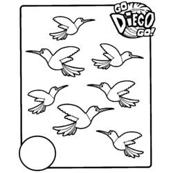 Dessin à colorier: Go Diego! (Dessins Animés) #48538 - Coloriages à Imprimer Gratuits