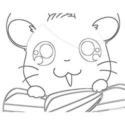 Dessin à colorier: Hamtaro (Dessins Animés) #40193 - Coloriages à Imprimer Gratuits