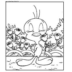 Dessin à colorier: Looney Tunes (Dessins Animés) #39294 - Coloriages à Imprimer Gratuits