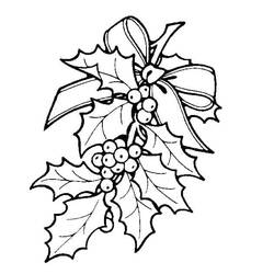Dessin à colorier: Houx de Noël (Fêtes et Célébrations) #217586 - Coloriages à Imprimer Gratuits