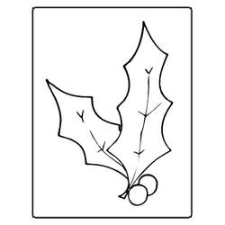Dessin à colorier: Houx de Noël (Fêtes et Célébrations) #217588 - Coloriages à Imprimer Gratuits