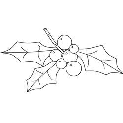 Dessin à colorier: Houx de Noël (Fêtes et Célébrations) #217590 - Coloriages à Imprimer Gratuits