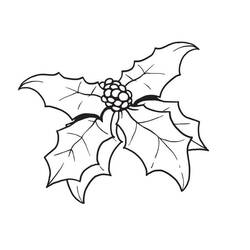 Dessin à colorier: Houx de Noël (Fêtes et Célébrations) #217595 - Coloriages à Imprimer Gratuits