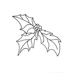 Dessin à colorier: Houx de Noël (Fêtes et Célébrations) #217596 - Coloriages à Imprimer Gratuits