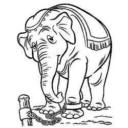 Coloriage Dumbo (Films d'Animation) #187130 à imprimer et colorier